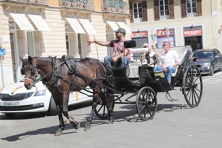 Travelnews.lv novēro Maļorkas salas ceļu satiksmes dalībniekus. Sadarbībā ar Latvijas tūrisma firmu «Atlantic Travel» Travelnews.lv novēro Maļorkas salas ceļu satiksmes dalībniekus. Sadarbībā ar Latvijas tūrisma firmu «Atlantic Travel» 318171