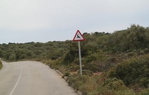 26