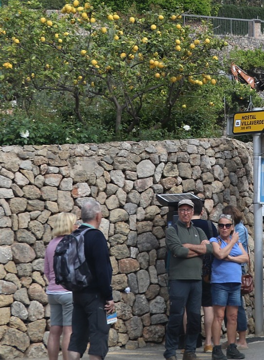Travelnews.lv kā autotūrists iepazīst Maļorkas urbānās vides ainavas. Sadarbībā ar Latvijas tūrisma firmu «Atlantic Travel» Travelnews.lv kā autotūrists iepazīst Maļorkas urbānās vides ainavas. Sadarbībā ar Latvijas tūrisma firmu «Atlantic Travel» 318698