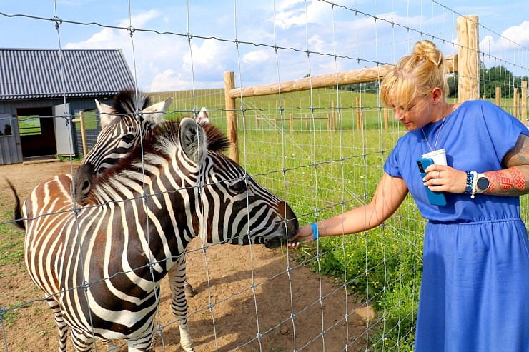 Sadarbībā ar «Avis Latvia» apciemojam jaunatklāto un bērnu sapni «Siguldas ZOO» 319451