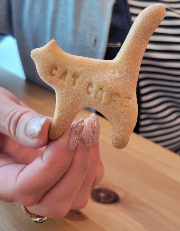 Travelnews.lv apmeklē Viļņas kafejnīcu ar kaķiem «Cat Cafe» Foto: Marta Mackeviča 320490