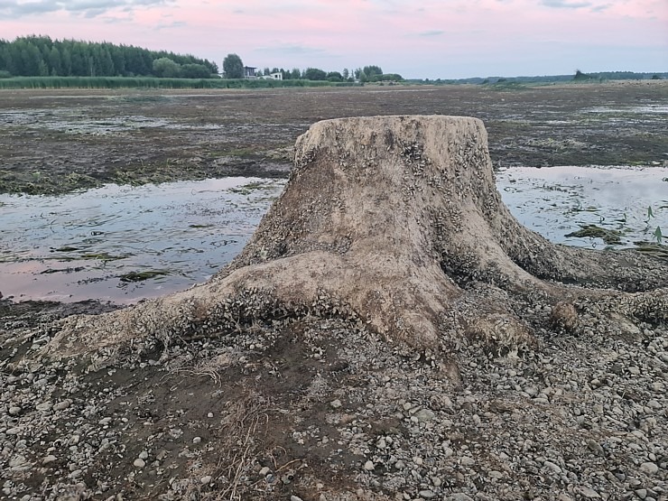 Tagad jebkurš kājāmgājējs var aplūkot Svētā Meinarda salu Ikšķilē 321933