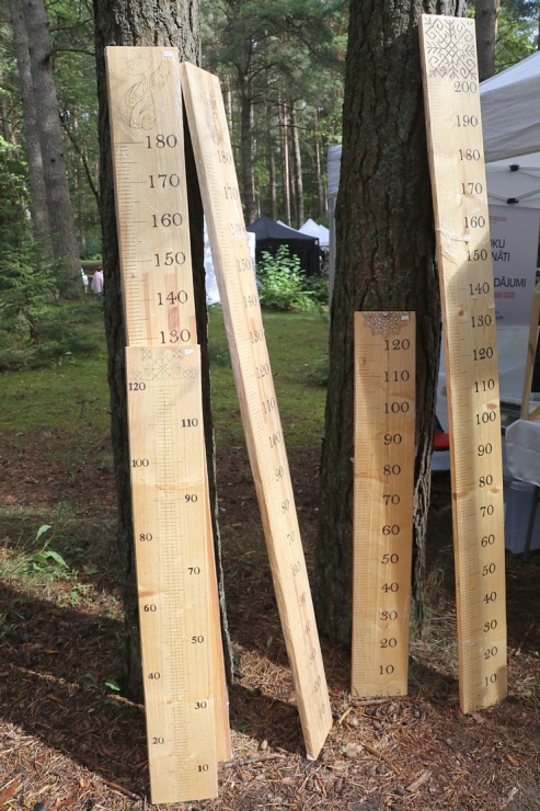 «Mūsdienu amatniecības tirgus 2022» pulcējas koka meistari Latvijas Etnogrāfiskajā brīvdabas muzejā 323167