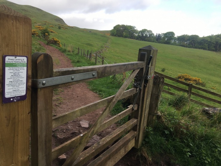 Vārtiņus turiet ciet, Pentland Hills zaļie pauguri vairumā gadījumu ir privātīpašums un tajos ganās aitu bari. 324470