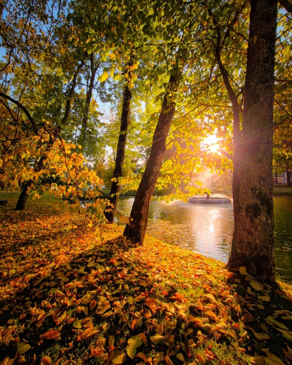 Alūksne gaida ciemos uz rudens pasaku.&nbsp; Foto: Egons Lācis 324997