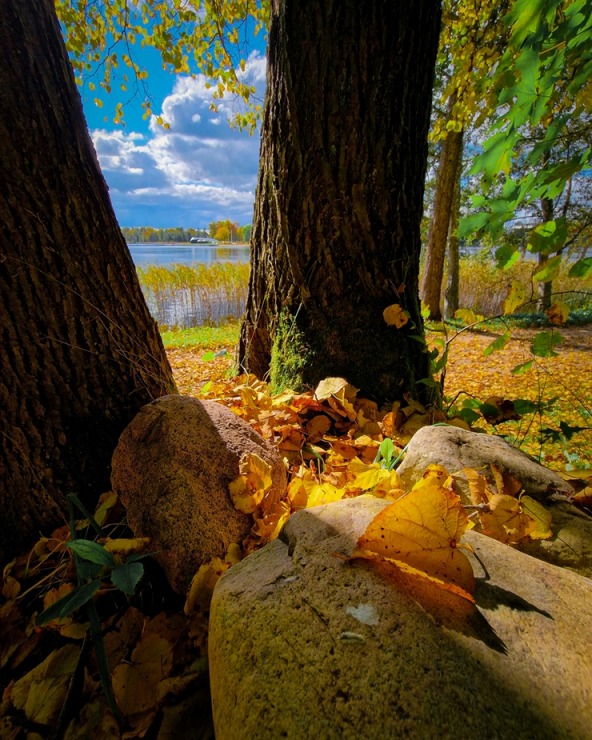 Alūksne gaida ciemos uz rudens pasaku.  Foto: Egons Lācis 325000