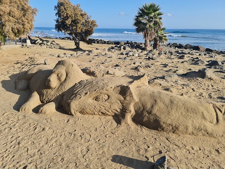 Kopā ar «Tez Tour Latvia» iepazīstam Maspalomas kāpas Grankanāriju salā. Sadarbībā ar Tez Tour Latvia un airBaltic Kopā ar «Tez Tour Latvia» iepazīstam Maspalomas kāpas Grankanāriju salā. Sadarbībā ar Tez Tour Latvia un airBaltic 327460