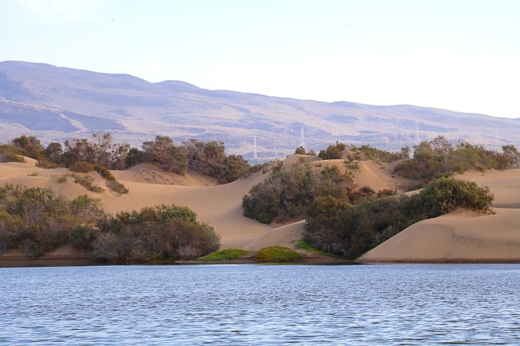 Kopā ar «Tez Tour Latvia» iepazīstam Maspalomas kāpas Grankanāriju salā. Sadarbībā ar Tez Tour Latvia un airBaltic Kopā ar «Tez Tour Latvia» iepazīstam Maspalomas kāpas Grankanāriju salā. Sadarbībā ar Tez Tour Latvia un airBaltic 327462