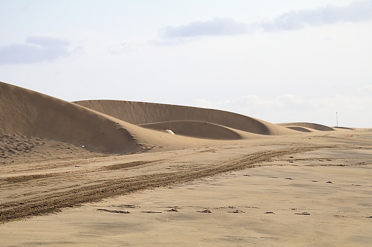 Kopā ar «Tez Tour Latvia» iepazīstam Maspalomas kāpas Grankanāriju salā. Sadarbībā ar Tez Tour Latvia un airBaltic Kopā ar «Tez Tour Latvia» iepazīstam Maspalomas kāpas Grankanāriju salā. Sadarbībā ar Tez Tour Latvia un airBaltic 327454