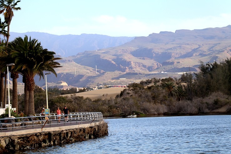 Maspalomas kāpas līdz 20 metru augstumam Grankanāriju salā rada tuksneša sajūtu. Sadarbībā ar Tez Tour Latvia un airBaltic Maspalomas kāpas līdz 20 metru augstumam Grankanāriju salā rada tuksneša sajūtu. Sadarbībā ar Tez Tour Latvia un airBaltic 327733