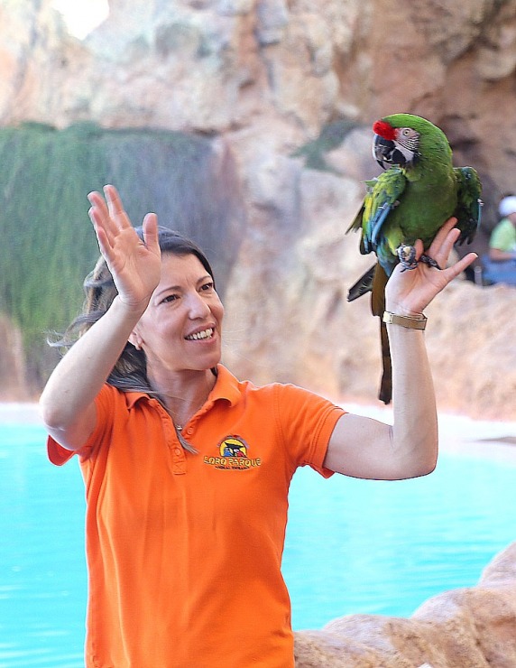 Travelnews.lv apmeklē delfīnu izrādi Tenerifes zooloģiskajā dārzā «Loro Parque». Sadarbībā ar Tez Tour un airBaltic 329932