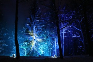 Latvijas Etnogrāfiskajā brīvdabas muzejā atklāts muzikāls «Ziemas gaismas dārzs» 11