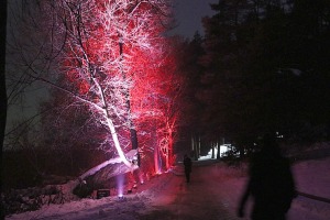 Latvijas Etnogrāfiskajā brīvdabas muzejā atklāts muzikāls «Ziemas gaismas dārzs» 15