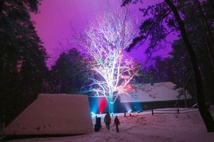 Latvijas Etnogrāfiskajā brīvdabas muzejā atklāts muzikāls «Ziemas gaismas dārzs» 17