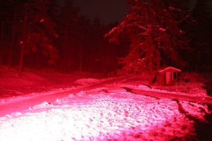 Latvijas Etnogrāfiskajā brīvdabas muzejā atklāts muzikāls «Ziemas gaismas dārzs» 25