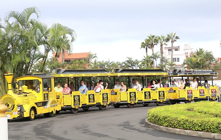 Tenerifes zooloģiskais dārzs «Loro Parque» tiek uzskatīts par labāko pasaulē. Sadarbībā ar Tez Tour un airBaltic 330259