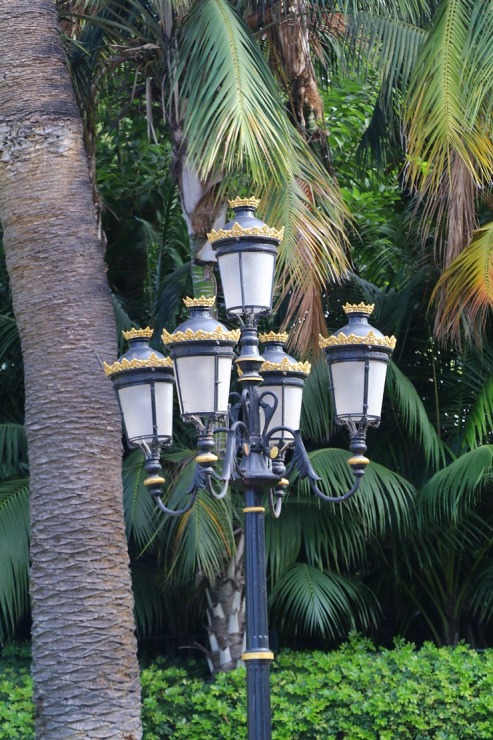 Travelnews.lv iepazīst un nakšņo Tenerifes 4 zvaigžņu viesnīcā «Hotel Botanico & The Oiental Spa Garden». Sadarbībā ar Tez Tour un airBaltic 331014