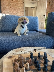 8