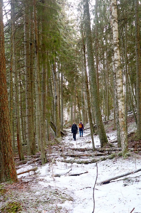 Travelnews.lv 20 km pārgājiens Smiltenē parāda novada kvalitatīvo tūrisma infrastruktūru 331705