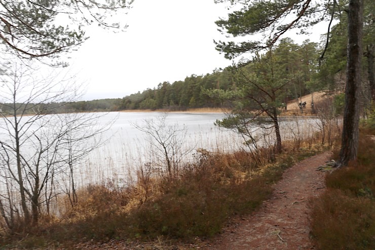 Travelnews.lv iziet 24 km pārgājienu Piejūras dabas parkā gar Gauju, Garezeru, Lilasti un Dzirnezeru Travelnews.lv iziet 24 km pārgājienu Piejūras dabas parkā gar Gauju, Garezeru, Lilasti un Dzirnezeru 333058
