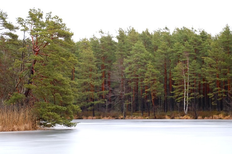 Travelnews.lv iziet 24 km pārgājienu Piejūras dabas parkā gar Gauju, Garezeru, Lilasti un Dzirnezeru Travelnews.lv iziet 24 km pārgājienu Piejūras dabas parkā gar Gauju, Garezeru, Lilasti un Dzirnezeru 333063