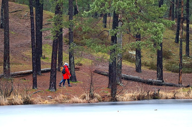 Travelnews.lv iziet 24 km pārgājienu Piejūras dabas parkā gar Gauju, Garezeru, Lilasti un Dzirnezeru Travelnews.lv iziet 24 km pārgājienu Piejūras dabas parkā gar Gauju, Garezeru, Lilasti un Dzirnezeru 333068