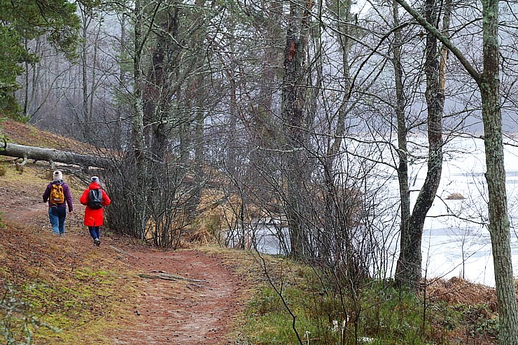 Travelnews.lv iziet 24 km pārgājienu Piejūras dabas parkā gar Gauju, Garezeru, Lilasti un Dzirnezeru Travelnews.lv iziet 24 km pārgājienu Piejūras dabas parkā gar Gauju, Garezeru, Lilasti un Dzirnezeru 333070