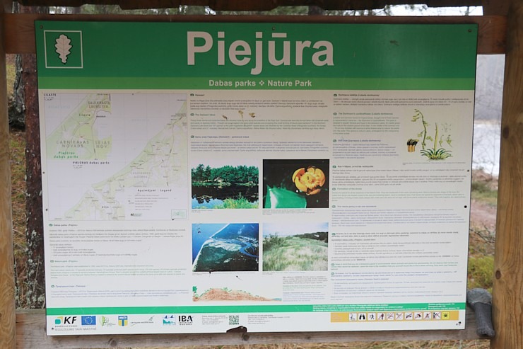 Travelnews.lv iziet 24 km pārgājienu Piejūras dabas parkā gar Gauju, Garezeru, Lilasti un Dzirnezeru Travelnews.lv iziet 24 km pārgājienu Piejūras dabas parkā gar Gauju, Garezeru, Lilasti un Dzirnezeru 333071