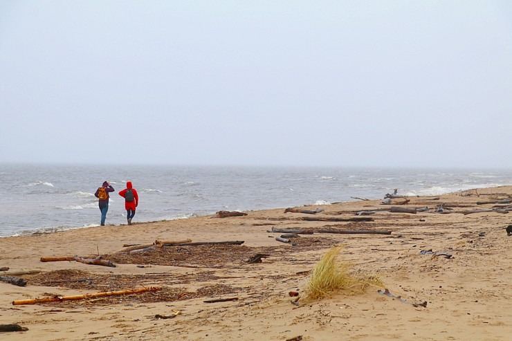 Travelnews.lv iziet 24 km pārgājienu Piejūras dabas parkā gar Gauju, Garezeru, Lilasti un Dzirnezeru Travelnews.lv iziet 24 km pārgājienu Piejūras dabas parkā gar Gauju, Garezeru, Lilasti un Dzirnezeru 333075