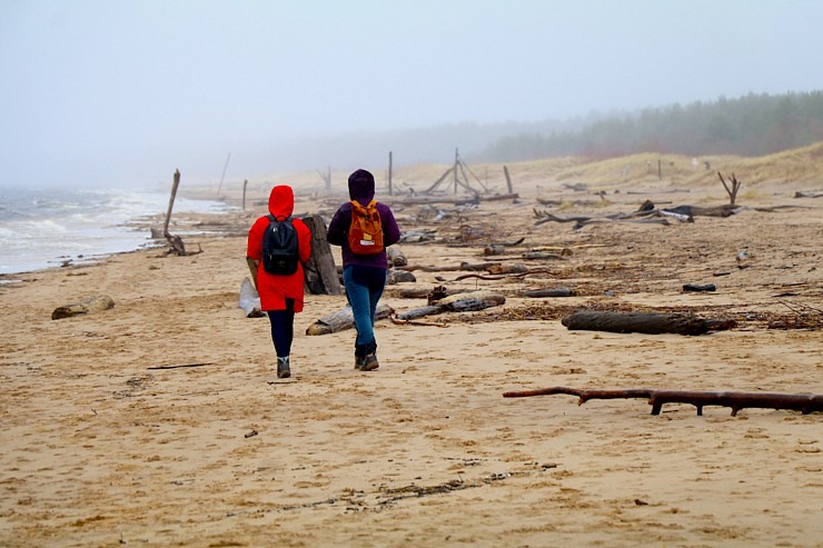 Travelnews.lv iziet 24 km pārgājienu Piejūras dabas parkā gar Gauju, Garezeru, Lilasti un Dzirnezeru Travelnews.lv iziet 24 km pārgājienu Piejūras dabas parkā gar Gauju, Garezeru, Lilasti un Dzirnezeru 333076