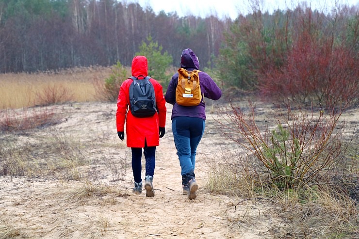 Travelnews.lv iziet 24 km pārgājienu Piejūras dabas parkā gar Gauju, Garezeru, Lilasti un Dzirnezeru Travelnews.lv iziet 24 km pārgājienu Piejūras dabas parkā gar Gauju, Garezeru, Lilasti un Dzirnezeru 333079