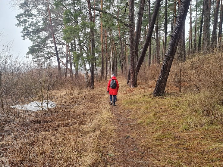 Travelnews.lv iziet 24 km pārgājienu Piejūras dabas parkā gar Gauju, Garezeru, Lilasti un Dzirnezeru Travelnews.lv iziet 24 km pārgājienu Piejūras dabas parkā gar Gauju, Garezeru, Lilasti un Dzirnezeru 333084