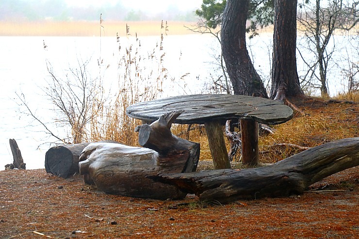 Piejūras dabas parks piedāvā aizraujošus foto momentus 24 km pārgājienā 333104