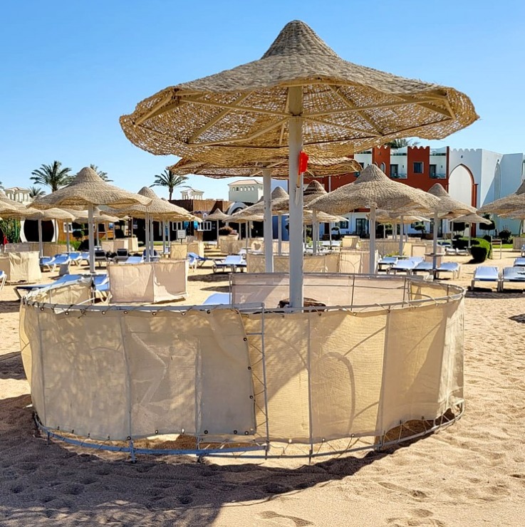Travelnews.lv sadarbībā ar «Tez Tour Latvia» iepazīst Hurgadas viesnīcas «Sunrise Mamlouk Palace Resort» pludmali Travelnews.lv sadarbībā ar «Tez Tour Latvia» iepazīst Hurgadas viesnīcas «Sunrise Mamlouk Palace Resort» pludmali 333635