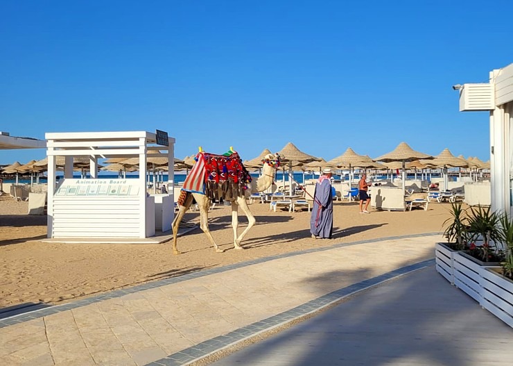Travelnews.lv sadarbībā ar «Tez Tour Latvia» iepazīst Hurgadas viesnīcu «Sunrise Garden Beach Resort» Travelnews.lv sadarbībā ar «Tez Tour Latvia» iepazīst Hurgadas viesnīcu «Sunrise Garden Beach Resort» 333885
