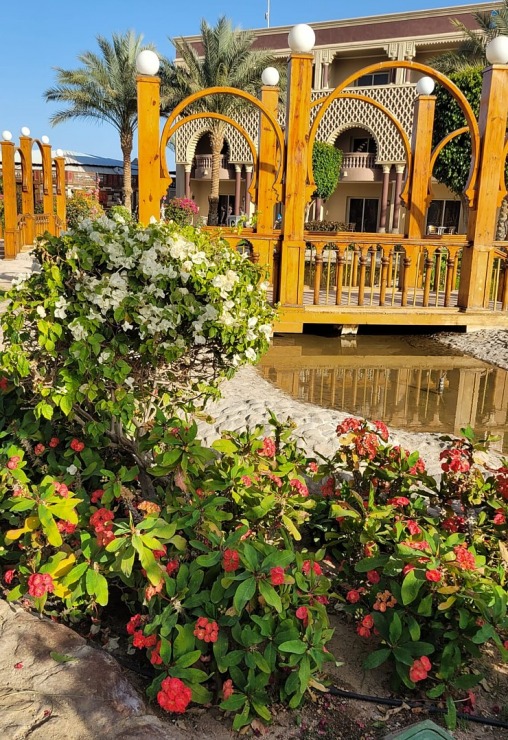 Travelnews.lv sadarbībā ar «Tez Tour Latvia» iepazīst Hurgadas viesnīcu «Sunrise Mamlouk Palace Resort» zaļumus Travelnews.lv sadarbībā ar «Tez Tour Latvia» iepazīst Hurgadas viesnīcu «Sunrise Mamlouk Palace Resort» zaļumus 334174