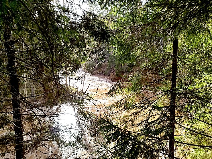 Amatas upe pārsteidz laivotājus un ceļotājus ar pavasara ūdeņu spēku. Foto: Lauris Lizbobskis 334380