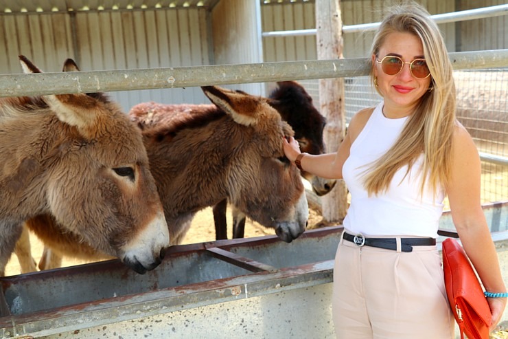 Travelnews.lv apmeklē ēzeļu fermu «Agroktima Agios Georgios» Kiprā 335638