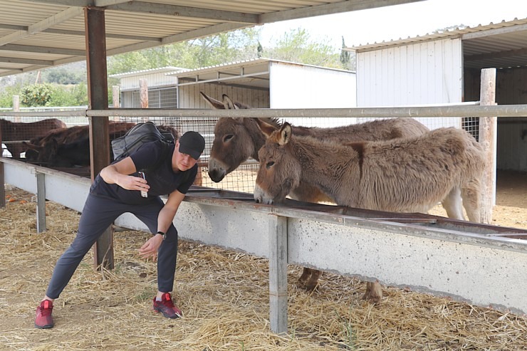 Travelnews.lv apmeklē ēzeļu fermu «Agroktima Agios Georgios» Kiprā 335639