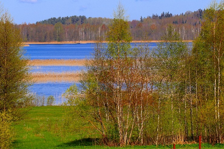 Pavasaris ar lielu spēku ienāk Latgales dabā 335706