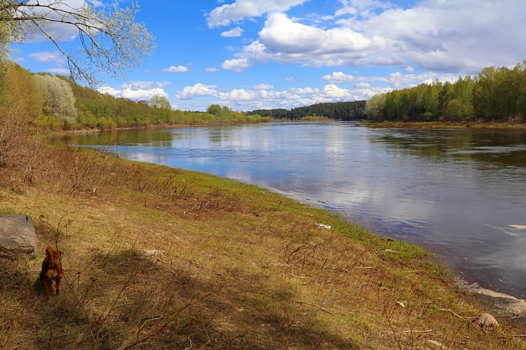 Travelnews.lv par godu 4.maijam un Krāslavas 100. gadu jubilejai noiet 20 km pārgājienu 335926