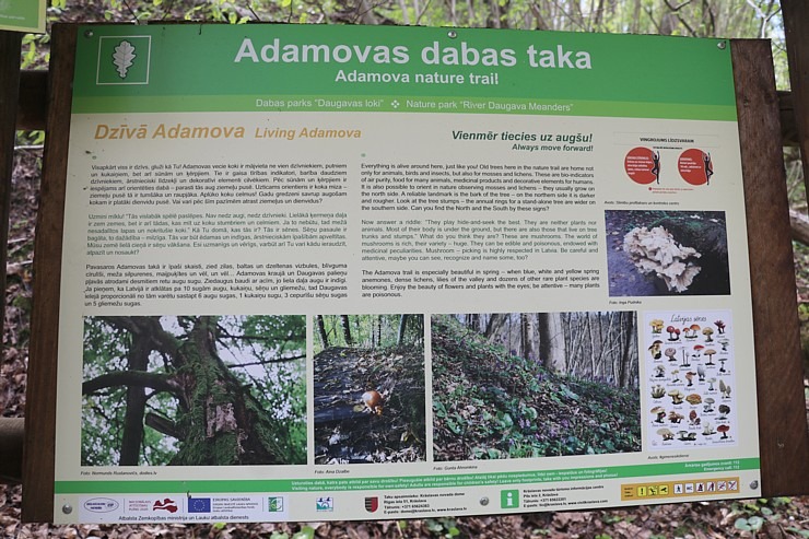 Travelnews.lv dodas 20 km pārgājienā Krāslavas apkārtnē 335994