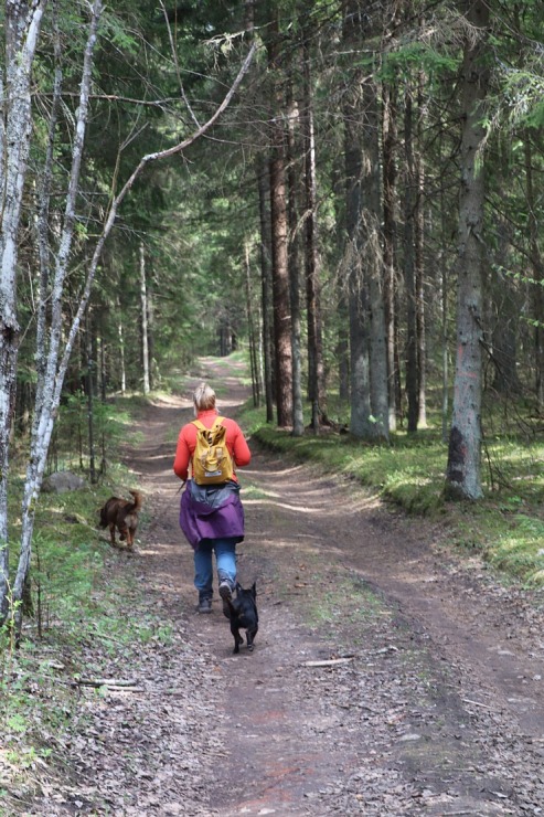 Travelnews.lv dodas 20 km pārgājienā Krāslavas apkārtnē 336010