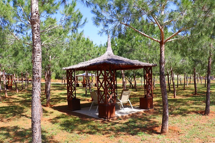 Travelnews.lv iepazīst ievērības cienīgu Ziemeļkipras viesnīcu «Noahs Ark Deluxe Hotel & Spa». Sadarbībā ar Puzzle Travel Travelnews.lv iepazīst ievērības cienīgu Ziemeļkipras viesnīcu «Noahs Ark Deluxe Hotel & Spa». Sadarbībā ar Puzzle Travel 336748