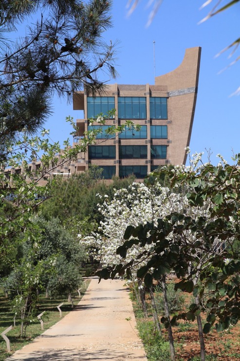 Travelnews.lv iepazīst ievērības cienīgu Ziemeļkipras viesnīcu «Noahs Ark Deluxe Hotel & Spa». Sadarbībā ar Puzzle Travel Travelnews.lv iepazīst ievērības cienīgu Ziemeļkipras viesnīcu «Noahs Ark Deluxe Hotel & Spa». Sadarbībā ar Puzzle Travel 336762