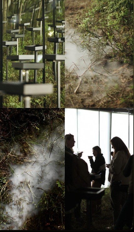 Nepieradinātās Naktsmītnes atklāj projekta “DABAS GALERIJA” jauno sezonu ar īpašu programmu grupām. Foto: Jānis Vīksna, Alens Opoļskis Nepieradinātās Naktsmītnes atklāj projekta “DABAS GALERIJA” jauno sezonu ar īpašu programmu grupām. Foto: Jānis Vīksna, Alens Opoļskis 337460