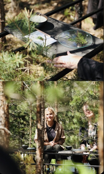 Nepieradinātās Naktsmītnes atklāj projekta “DABAS GALERIJA” jauno sezonu ar īpašu programmu grupām. Foto: Jānis Vīksna, Alens Opoļskis 337464