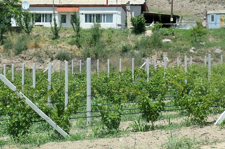 Travelnews.lv izbaudām labākās pusdienas Armēnijas ceļojumā - restorāns «Old Bridge Winery». Sadarbībā ar airBaltic 341308
