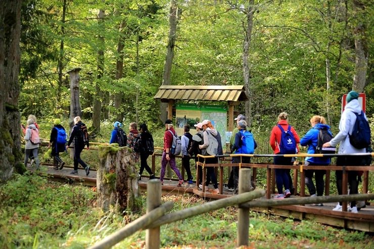 Krāslavas novada iedzīvotāji un viesi dodas rudens pārgājienā apkārt Ežezeram. Foto: Viktors Kalniss, Tatjana Kozačuka, Sanita Karpoviča 344204