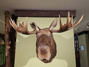 30